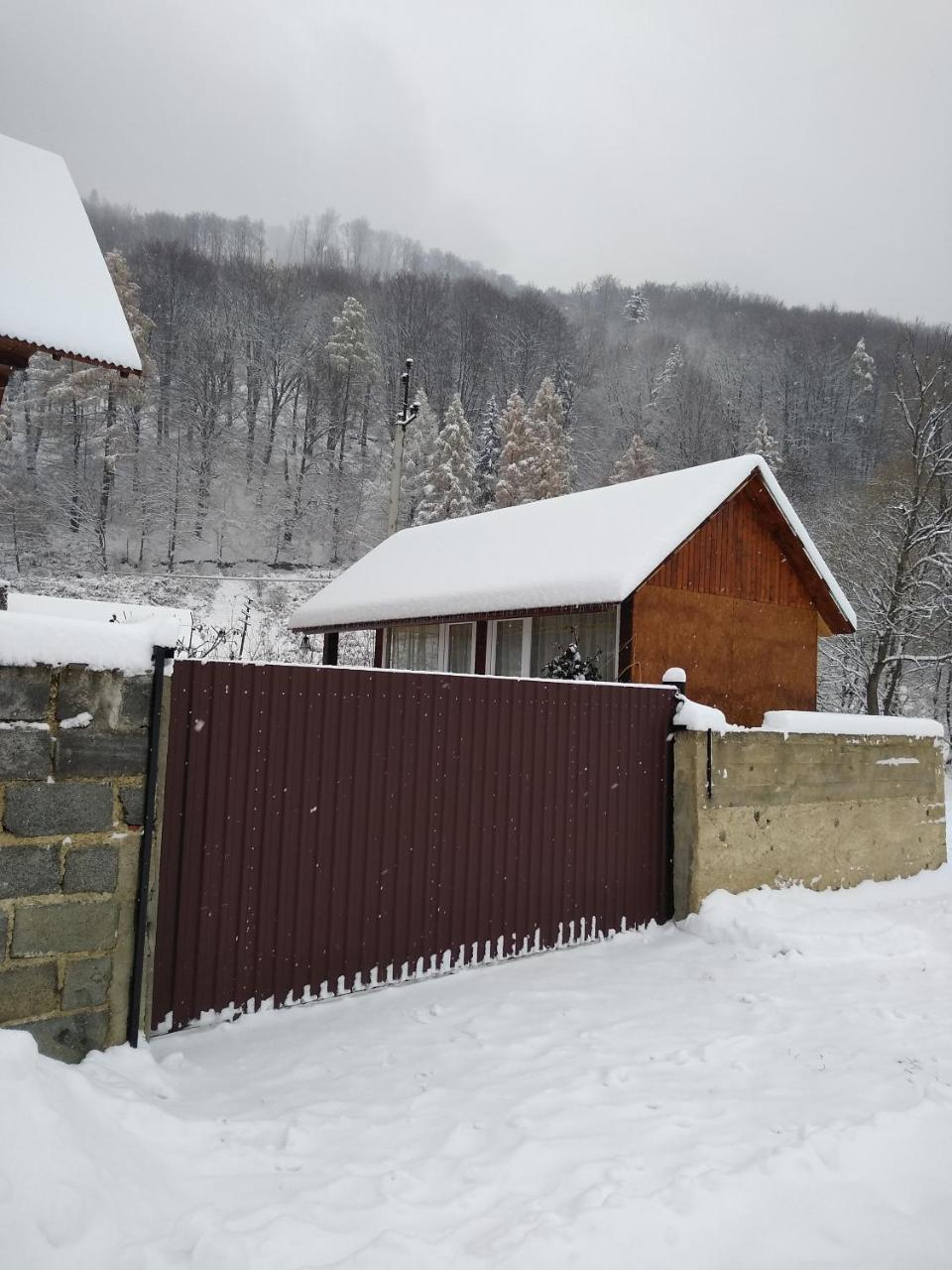 Карпатські Ночі Чан На Території Apartment Yaremche Luaran gambar